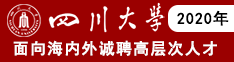 四川大学2020年面向海内外诚聘高层次人才
