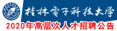 桂林电子科技大学2020年高层次人才招聘公告