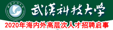 武汉科技大学2020年海内外高层次人才招聘启事