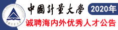 中国计量大学2020年诚聘海内外优秀人才公告