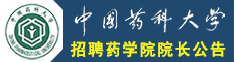 中国药科大学招聘药学院院长公告