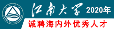 江南大学2020年诚聘海内外优秀人才