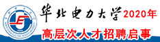 华北电力大学2020年高层次人才招聘启事