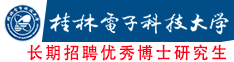 桂林电子科技大学2020年高层次人才招聘公告