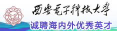 西安电子科技大学诚聘海内外优秀英才