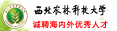 西北农林科技大学诚聘海内外优秀人才