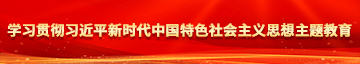 学习贯彻习近平新时代中国特色社会主义思想主题教育