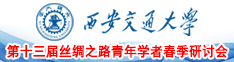 西安交通大学第十三届丝绸之路青年学者春季研讨会