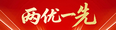 两优一先