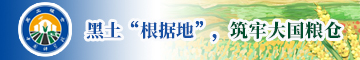 黑土“根据地”，筑牢大国粮仓